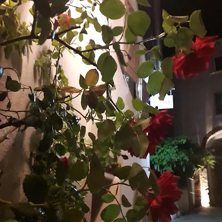 Al Biancospino- Camere- Ristorante